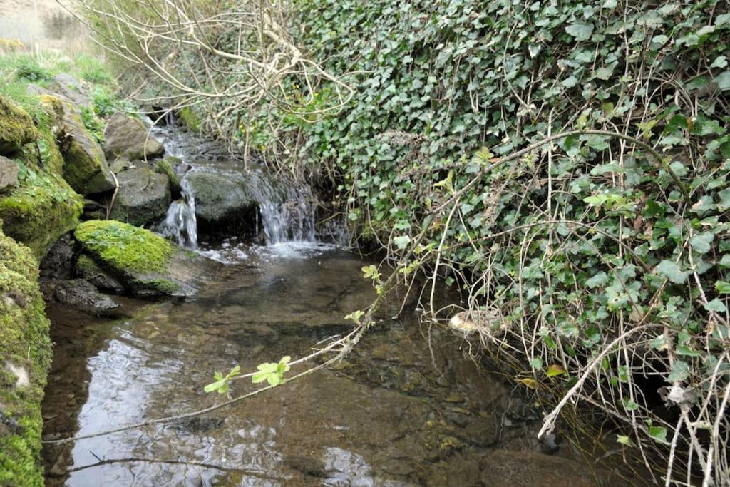 קהרסיבין Cottage Skelligs Coast, Ring Of Kerry מראה חיצוני תמונה